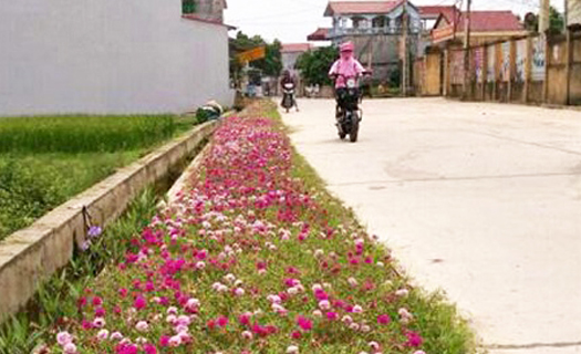 Bắc Giang: Tập trung hoàn thành mục tiêu xây dựng nông thôn mới năm 2022